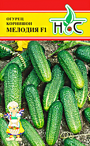 Семена Огурец Мелодия F1
