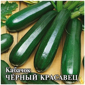 Семена Кабачок Черный Красавец