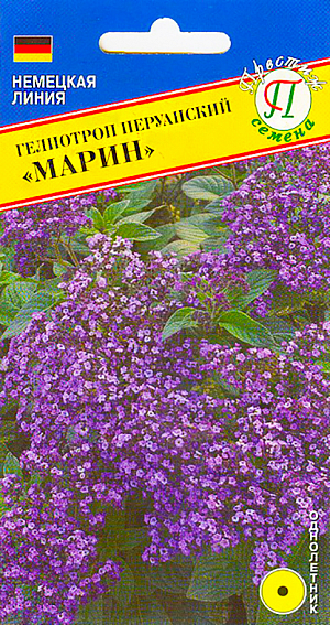 Семена Гелиотроп перуанский Марин.
Многолетняя культура, культивируемая как однолетник.Кустик компактный, высотой 45-50 см.Листья тёмно-зелёные с пурпурным оттенком.Цветки тёмно-фиолетовые, собраны в соцветия диаметром 15 см.Гелиотроп хорош как ковровое растение в цветниках, бордюрах, сочетается с сальвией, клубневой бегонией и петунией.Прекрасно смотрится в горшках и садовых вазонах.Посев осуществляется в феврале-марте в ящики во влажную смесь песка и торфа.Сеют по поверхности, слегка заделывая на глубину 3-4 мм. Ящики ставят в светлое место, но избегая попадания прямого солнечного света, закрывают стеклом или прозрачной пленкой.Всходы появляются через три-четыре недели.После появления всходов поддерживают температуру воздуха 22-23 градусов. При образовании 1 -2 пары настоящих листов сеянцы пикируют в ящики с шагом 5-10 см или горшки и содержат в помещении с температурой не ниже 18 градусов. Рассаду высаживают в открытый грунт со второй половины мая, когда минует угроза заморозков, оставляя 35-45 см между растениями.