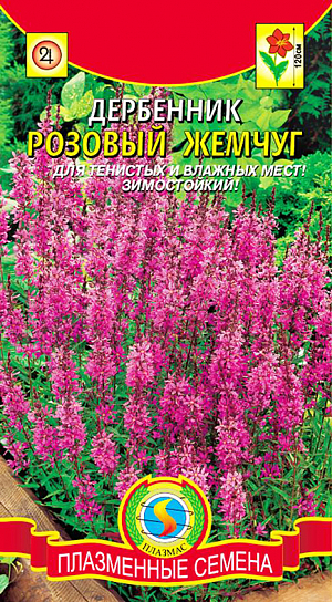 Семена Дербенник иволистный Розовый жемчуг. Прекрасное многолетнее зимостойкое растение для тенистого и влажного места. Разрастаясь, образует крупные куртинки из стройных стеблей высотой до 120 см. Розовато-лиловые цветки собраны в плотные свечевидные элегантные соцветия до 50 см длиной. Прекрасно смотрится на заднем плане цветника, в миксбордерах в тенистых местах, около пруда. Любим пчёлами и бабочками. Хорошо сочетается с вербейником, ирисами, лилейниками, злаками.<br>
 <br>
 На рассаду в марте-апреле. Сеют поверхностно. Накрывают пленкой до появления всходов. Оптимальная температура для прорастания 15-18°С, всходы появляются через 20-30 дней после посева. Высадка рассады в открытый грунт весной или осенью, расстояние между растениями 30-45 см. Возможен посев семенами прямо в грунт ранней весной или осенью.<br>
 <br>
 Предпочитает солнечное или слегка затененное место и увлажненная, богатая питательными веществами почва, хорошо проветриваемая. Без пересадки и деления на одном месте растет долгие годы. Зимует без укрытия. Осенью надземную часть обрезают. Необходим обильный полив (в сухую погоду), рыхление, подкормки полным минеральным удобрением.
<p>
 Цветение  второй год после посева, в июле – августе. Отцветшие соцветия – обрезают.
</p>
<p>
 Высота: до 120 см.
</p>
<p>
 Длина соцветия: до 50 см.
</p>
<p>
 <br>
</p>
<p>
 <br>
</p>