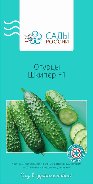 Огурец Шкипер F1