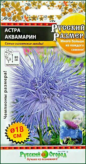Семена Астра Русский размер I Аквамарин.<br>
 <br>
 Астра Аквамарин РР l выделяется своим крупным размером цветка и нежной лавандовой окраской. Художественная астра будет красиво смотреться и в большом цветнике, и на маленькой компактной клумбе. Вырастает компактным, но достаточно высоким плотным кустиком. Цветки большие, игольчатые. Долго стоят в срезке, необычно смотрятся в интерьере. Цветут до заморозков! <br>
 <br>
 <br>