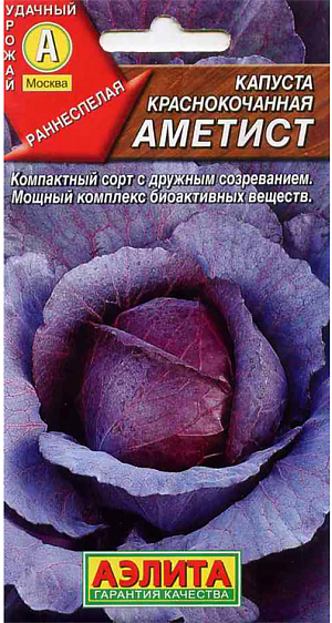 Семена Капуста краснокочанная Аметист
