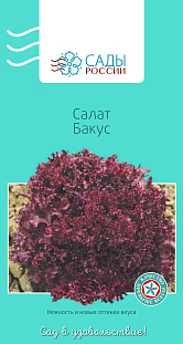 Семена Салат Бакус