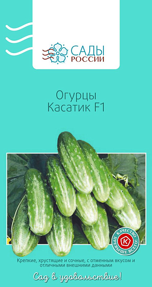 Семена Огурец Касатик F1