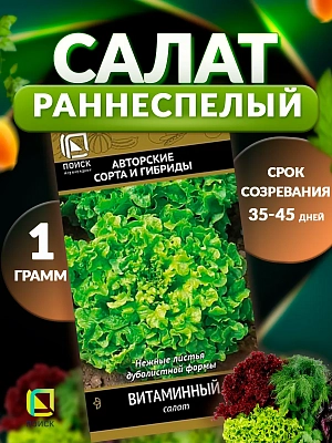 Салат Витаминный