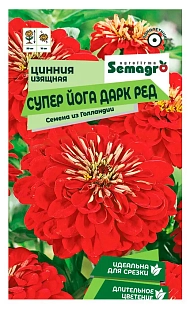 Цинния изящная Супер Йога Дарк Ред