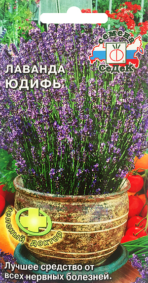 Семена Лаванда Юдифь.
Многолетнее пряно-вкусовое, лекарственное, медоносное, декоративное растение. Куст плотный, пол у шаровидный, высотой 50-60 см, диаметром 60 см. Листья продолговато-линейные, серовато-зеленые. Цветки фиолетово-голубые, собраны в колосовидные соцветия. Все растение имеет сильный аромат. Ценность культуры: декоративность и высокие лечебные свойства. 