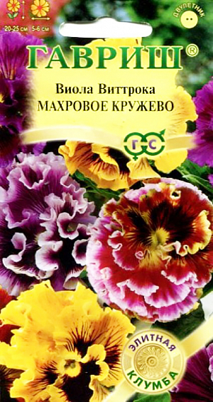 Семена Виола Махровое кружево смесь F1. Двулетник.<br>
 <br>
 Высота: 20 см.<br>
 <br>
 Диаметр: 6-8 см.<br>
 <br>
 Непревзойденная по красоте виола, двулетник. Высота растений до 20 см. Цветки насыщенного тона бургунди, крупные, до 6-8 см. в диаметре. Лепестки с фантастической гофрировкой, украшены рюшами. Ровный габитус, улучшенная форма растений, раннее и обильное цветение позволяют широко использовать эту виолу в профессиональном плане. Цветет обильно и продолжительно с мая по сентябрь. <br>
 <br>
Влаголюбива, холодостойка, хорошо растет на солнце и в полутени. Для получения растений, цветущих в год посева, семена высевают на рассаду в феврале-марте. Всходы появляются через 5-7 дней. В открытый грунт рассаду высаживают в конце апреля - начале мая на расстоянии 20 см. Растения хорошо переносят пересадку в цветущем состоянии. При посеве в открытый грунт в июне-июле, цветение наступает во второй год. Используют для посадки массивами, на клумбы, рабатки, в балконные ящики и садовые вазы.