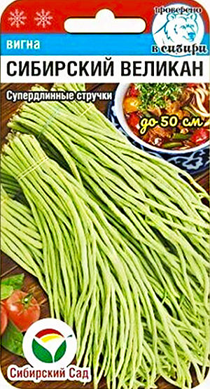 Семена Вигна Сибирский великан