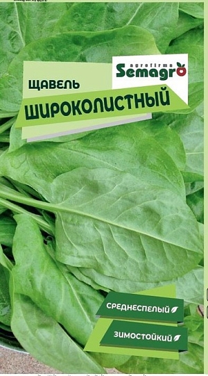 Щавель Широколистный