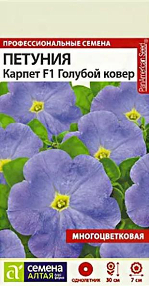 Семена Петуния Карпет "Голубой ковер".<br>
 Многоцветковая гибридная петуния серии Карпет - красивоцветущее очень компактное однолетнее растение. Хорошо ветвится, обеспечивая пышный "ковер" из цветов в течение всего сезона. Устойчиво к неблагоприятным погодным условиям. Высота растения 25-30 см, ширина куста 25-40 см. Цветет многочисленными ароматными цветками насыщенного голубого цвета с желто-зеленой воронкой. Диаметр цветков до 7 см. Используется для оформления клумб, рабаток и бордюров, ампельных композиций, озеленения балконов, может выращиваться в домашних условиях. Светолюбивое и достаточно засухоустойчивое растение. Предпочитает легкие плодородные, хорошо дренированные почвы. <br>
Посевы на рассаду проводят с середины февраля. Семена равномерно распределяют по поверхности субстрата, не заделывая, а лишь слегка вдавливая в грунт. Для получения наилучшего результата посев рекомендуем проводить в торфяные таблетки (одно драже в таблетку).