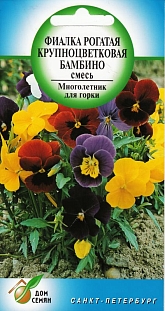 Фиалка Бамбино крупноцветковая