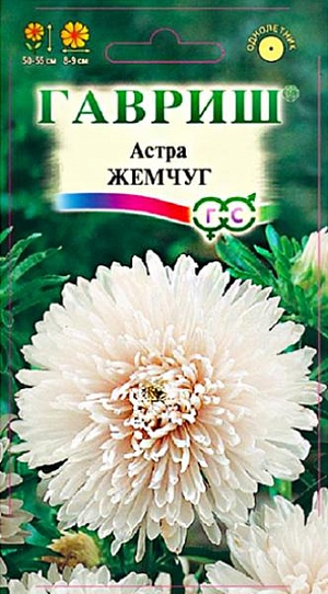 Семена Астра Жемчуг<br>
 <br>
 Растение широкоовальной формы, высотой 50-55 см, диаметром 35-40 см. Соцветия махровые, диаметром 8-9 см, белые, к центру розовато-кремовые. Для выращивания подходят хорошо освещенные участки с плодородной суглинистой или супесчаной почвой. Астры обладают высокой холодостойкостью – хорошо переносят заморозки до -3-4°C. Выращивают, чаще всего, рассадным способом. Используются для получения срезки и оформления участка.<br>