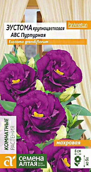 Эустома ABC пурпурная махровая<br>
 <br>
Эустома, лизиантус, «ирландская роза» – вот неполный перечень названий этого прекрасного многолетника, который в открытом грунте выращивается как летник. Стебли высотой до 115 см, на которых расположены крупные махровые цветки нежно-желтой окраски диаметром до 6 см. Займет достойное место среди Ваших комнатных растений, также ее широко используют для оформления клумб, рабаток, бордюров и для получения первоклассной срезки. Всходы появляются через 10-14 дней, их необходимо регулярно проветривать. Пикировку проводят в фазе 2-3 настоящих листьев, стараясь не травмировать корни. В фазе 4-5 настоящих листьев рассаду пересаживают в постоянные горшки с хорошим дренажом. В сад (под временное укрытие) растения высаживают с конца мая, когда минует угроза заморозков. Посадочный интервал – 30-35 см. Через 2-3 недели укрытие снимают. Эустома требует регулярного полива, но не выносит застоя влаги, полив осуществляют под корень. Для наиболее декоративного цветения рекомендуется 2 раза в месяц проводить подкормку комплексным минеральным удобрением, а также микроудобрениями. Внимание! Семена дражированные - оболочку драже не разрушать!