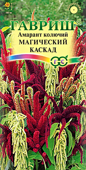 Семена Амарант Магический каскад, смесь<br>
 <br>
 Однолетнее травянистое растение, фееричная смесь амарантов c мощным стеблем, высотой до 100 см. Цветки мелкие темно-красные, малиновые, зеленые собраны в сложные, разнообразной формы, длинные соцветия, поникающие, колосовидные, ветвистые метелки. Листья крупные, цельные, эллиптические, расположенные очередно или супротивно, имеют длинные черешки. Растение теплолюбивое, не переносит заморозков, хорошо растет на солнечных, защищенных от ветра участках с плодородной, дренированной и достаточно увлажненной почвой. Цветет с июня до заморозков. <br>