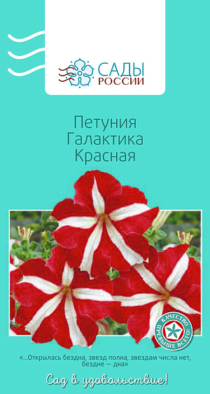 Петуния крупноцветковая Галактика Красная

Потрясающе эффектная группа крупноцветковых гибридов, несравнимых по обилию цветения, выравненности растений, выносливости к погодным условиям. Цветки двуцветные, крупные, в диаметре до 10–11 см, необыкновенно выразительные, очень красивые, лучистые, красно-серебристо-белые «звезды» Галактики.