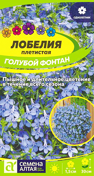 Семена Лобелия плетистая Голубой Фонтан<br>
 <br>
 Очаровательное растение для подвесных корзин и контейнеров, выращиваемое в однолетней культуре. Распростёртые или свисающие побеги, длиной до 30 см, обильно усыпаны мелкими, 1,5 см диаметром, голубыми цветками причудливой формы, расположенными в пазухах листочков. Чудесно смотрится в подвесных корзинах, балконных ящиках, вазонах, мини-альпинариях. Светолюбивое, теневыносливое и влаголюбивое растение, достаточно холодостойкое. Наибольшей декоративности достигает на открытых солнечных участках с хорошо дренированными супесчаными и суглинистыми почвами средней влажности без избытка органики (иначе цветение будет слабым). Посевы на рассаду проводят в феврале. <br>
