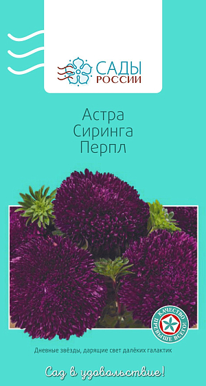Астра Сиринга Перпл

Неподдельное ощущение праздника! Одна из самых красивых и пышноцветущих серий срезочных астр. Растения высокодекоративные, кустообразные, формируют крепкие цветоносы с гигантскими махровыми цветками, 10–15 см в диаметре, максимально насыщенного пурпурного цвета. Очень жизнестойкие после срезки. Не боятся дождей и ветреной погоды. Обильное и продолжительное цветение.