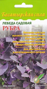 Лебеда садовая Рубра