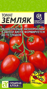 Семена Томат Земляк