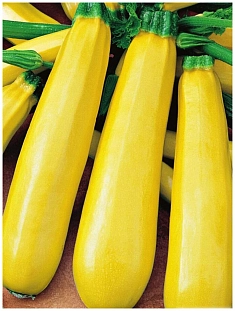 Семена Кабачок Желтоплодный 