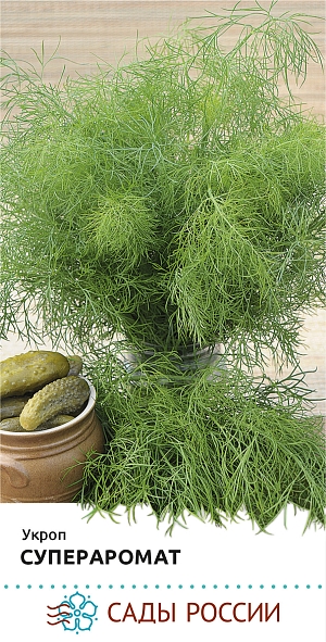 Семена Укроп Супераромат F1