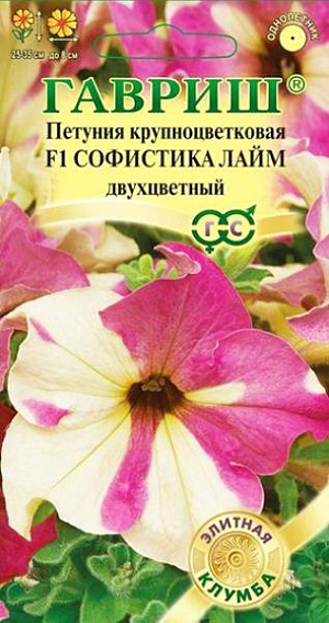 Семена Петуния крупноцветковая Софистика лайм двухцветный F1 <br>
 <br>
 Фантастический гибрид поражающий воображение! Каждый цветок уникален сочетанием насыщенно-розового и изысканного лаймового оттенка в разных пропорциях.  Сильноветвистый кустик высотой 25-35 см обильно усыпан цветками диаметром до 8 см. Гибрид идеален для выращивания в корзинах, контейнерах, рабатках, бордюрах и на клумбах. Великолепно подойдет для профессионального выращивания на продажу. На постоянное место высаживают, когда минует опасность заморозков. Цветет с конца мая весь сезон. Светолюбива и достаточно засухоустойчива. Предпочитает легкие, плодородные, хорошо дренированные почвы.<br>