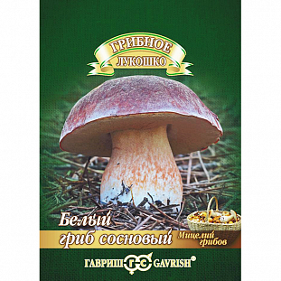 Мицелий грибов Белый гриб Сосновый