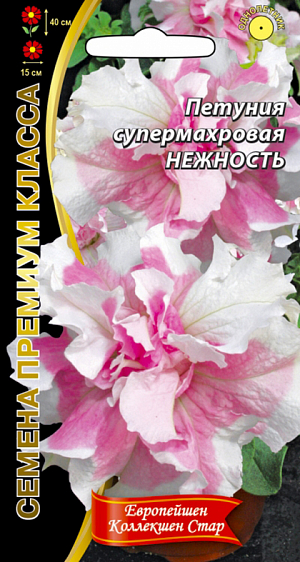 <div>
 Семена Петуния Нежность - супермахровая.
</div>
<p>
 Невероятно эффектная, крупноцветковая петуния. Отличается ранним сроком цветения, формирует хорошо разветвленные, шарообразные кусты высотой 25-40 см, с густомахровыми цветками нежно-розовой окраски, до 15 см в диаметре, по форме напоминающими гвоздики. Используется в оформлении клумб, вазонов, балконных ящиков. Характеризуется пышным, длительным и обильным цветением. Семена петунии находятся в специальных гранулах, которые облегчают процесс посева и выращивания. При попадании влаги гранула рассыпается.
</p>