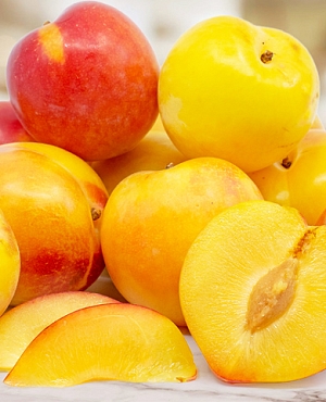 Саженцы Шарафуга Белла Голд