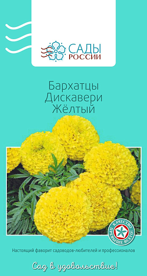 Бархатцы французские Дискавери Жёлтый


Бархатцы прямостоячие, или африканские. Цветки крупные густомахровые до 8 см в диаметре, насыщенно-желтые. Достаточно холодостойки, но не устойчивы к заморозкам, рассаду высаживают в грунт, когда минует угроза заморозков.