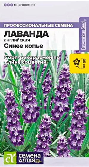 Семена Лаванда узколистная "Синее копье".<br>
 Растения этого сорта отличаются выравненным габитусом, однородностью соцветий, ранним и продолжительным цветением. Формирует длинные прямостоячие колосовидные соцветия с сине-фиолетовыми ароматными цветками. Отлично подходит для выращивания в кашпо, контейнерах, в бордюрных посадках, на клумбах. Используется в качестве сухоцвета.<br>
 Высота растения: 30-35 см. Диаметр растения: 25-30 см. Размер цветка: 0,8-1 см. Условия выращивания, место посадки: хорошо освещенные места. Требования к грунту: питательный легкий грунт, слабощелочной или нейтральный. Способы выращивания: рассадный. Время посева на рассаду: январь-апрель.<br>
 Способ посева: семена высевают на уплотненное ложе замоченных торфяных таблеток или увлажненного грунта, заделывая на глубину 0,2-0,3 см. Емкость накрывают прозрачной крышкой или пленкой до появления первых всходов, периодически проветривают. Оптимальная температура +18…20°С. После появления первых всходов рекомендуется организовать досветку до 10-12 часов в сутки.<br>
 Время до появления всходов: 7-20 дней. Перевалка: производится через 6-8 недель в рассадные емкости диаметром около 9 см.<br>
 Время высадки в открытый грунт: май, когда минует угроза возвратных заморозков. Посадочное расстояние: 20-30 см.<br>
 Период цветения: июнь-август, цветение более раннее при продолжительности светового дня более 12 часов<br>
 Уход: после высадки в грунт однократно подкармливают азотным удобрением, в фазе бутонизации – азотно-калийным, в начале осени – фосфорно-калийным для повышения зимостойкости. В регионах с суровыми зимами требует укрытия.<br>
Внимание! Семена праймированные, не требуют дополнительных обработок перед посевом!