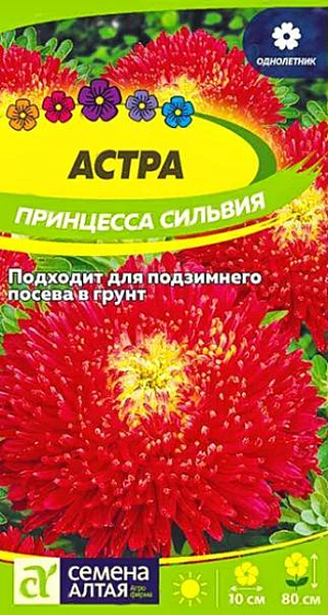Семена Астра Принцесса "Сильвия" карминно-красная.<br>
Однолетняя астра сортотипа Принцесса. Куст раскидистый, в высоту достигает 80 см. Соцветия плоско-округлые крупные (8-10 см в диаметре) густомахровые, до 20 штук на растении, образованные большим числом трубчатых цветков, окруженных несколькими рядами язычковых. Окраска карминно-красная с переходом к жёлтому глазку в центре соцветия. Используется для посадки в сборные цветники группами, на рабатки – рядами, великолепна в срезке. Холодостойкое, светолюбивое растение, может расти в полутени. Хорошо растет на обычной садовой почве без свежей органики, кислые почвы необходимо нейтрализовать известью. Семена на рассаду высевают в марте-апреле, глубина заделки 0,5 см. Посевы содержат при температуре +15-18°С. Сеянцы пикируют с появлением первой пары настоящих листочков. В открытый грунт рассаду высаживают во второй половине мая. Перед высадкой в открытый грунт её закаливают в течение 1-2 недель, снизив температуру до +10°С. Схема посадки 30×30 см. Возможен посев семян в открытый грунт в конце апреля под временное укрытие на глубину 0,5-1,0 см (с последующим прореживанием всходов), или под зиму (в конце октября) на глубину 3 см. Сверху посевы мульчируют торфом или опилками слоем 3-5 см. Весной посевы раскрывают. Цветение длится с июля до конца сентября.