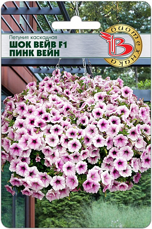 <blockquote>
</blockquote>
 Семена Петуния Шок Вейв F1 Пинк Вейн каскадная.
<div>
 Одна из лучших серий петунии для подвесных корзин <br>
 Растение формирует сплошную шапку ярких цветов высотой 25 см и шириной до 75 см <br>
 Довольно неприхотлива, цветки неплохо восстанавливаются после дождей<br>
 Ампельное растение<br>
 Для одного растения требуется не менее 15-20 литров грунта. <br>
 Посев: посев на рассаду производится с февраля по март. Драже высеваются в рассадные ящики на поверхность подготовленного субстрата, грунтом не присыпаются. Очень важно, чтобы высеянные драже были постоянно увлажнены и не пересыхали. <br>
 Прорастание: всходы появляются на 10-15 день, при температуре проращивания 25-30°С. <br>
 Пикировка: на стадии 2-3 пары настоящих листьев в горшочки 100мл. Температура доращивания 16-17°С. С апреля по май производится пересадка в горшки диаметром 9 -12 см. В горшках доращивание идет при температуре 18-20°С. Такая температура позволяет получить хорошо развитую коренастую рассаду. <br>
 Грунт: должен быть легкий, с высоким содержанием питательных веществ и иметь значение рН 5,5-6,5. <br>
 Высадка на постоянное место: производят, когда полностью минует угроза заморозков. <br>
 Удобрение: петуния требовательна к содержанию питательных веществ. Подкормки проводятся комплексным минеральным удобрением, содержащим микроэлементы. <br>
 Возможно использование удобрений пролонгированного действия. <br>
 Однолетник, при выращивании рассады требуется досветка.
</div>
 <br>