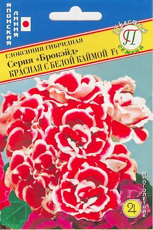 Семена Глоксиния Брокэйд красная с белой каймой F1.
<h3>Глоксиния "Брокэйд" Красная с бел. каймой F1</h3>
<p>
 Глоксиния гибридная серии «Брокэйд» - это 100% махровый цветок. Низкорослое – 15-20 см высотой, компактное растение с маленькими листьями. Рекомендуется для выращивания в горшках 10-12 см в диаметре.
</p>
 <br>
