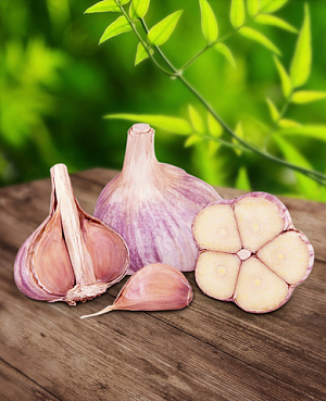 Чеснок озимый Валдайский 10 шт