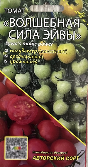 Семена Томат Волшебная сила Эйвы