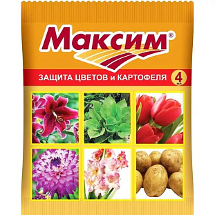 Максим дачник