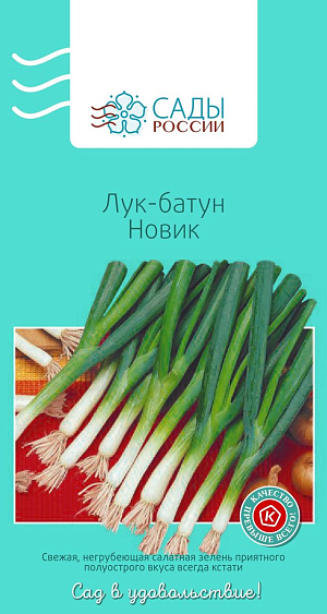 Лук-батун Новик