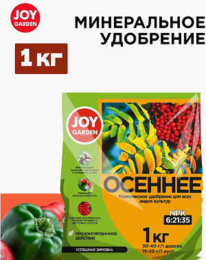 Джой Осеннее