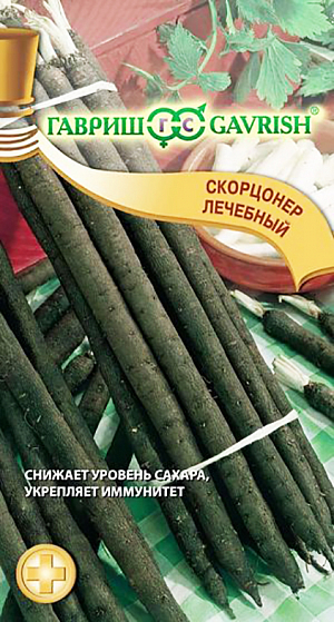Скорцонера Лечебный