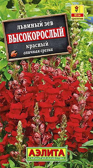 Семена Львиный зев Красный большой высокорослый.
Однолетник. Высота растения 90 см Львиный зев образует сильноветвистый куст высотой до 80 см, густо покрытый мелкими листочками. Его элегантные колосовидные соцветия в течение всего сезона украшают своим обильным цветением клумбы и рабатки, радуя глаз яркими красками. Растение используется для составления букетов и оформления цветочных композиций, срезанные соцветия долго стоят в вазе (около 1,5-2 недель). Эффектные цветки имеют легкий ненавязчивый аромат, что немаловажно для букета.