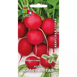 Семена Редис Краса Алтая