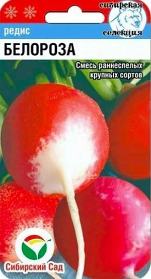 Семена Редис Белороза смесь