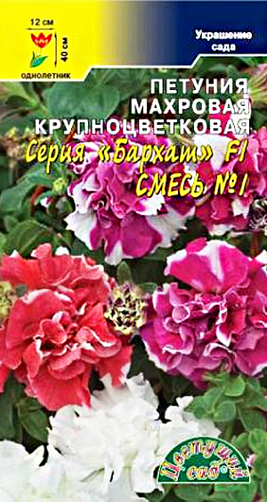 Семена Петуния махровая Бархат Смесь F1 N1.<br>
 <br>
 Новая компактная форма крупноцветковой махровой петунии серии Бархат. Растение образует кустик высотой не более 40 см., усыпанный крупными насыщенно окрашенными соцветиями, достигающими в диаметре 12 см. Петуния идеально подходит для групповых посадок, балконных ящиков, вазонов и цветочных горшков. Она неприхотлива, отлично чувствует себя даже в условиях большого города и будет радовать Вас пышным цветением весь сезон! <br>
 <br>
  Выращивается рассадным способом, семена при этом лишь слегка присыпают легким грунтом или производят посев под стекло. В грунт рассаду высаживают, когда минует угроза заморозков. Петуния предпочитает богатую питательными веществами супесчаную почву на солнечном месте. Полив умеренный, так как петуния не переносит переувлажнения.<br>