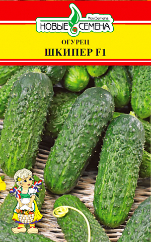 Семена Огурец Шкипер F1