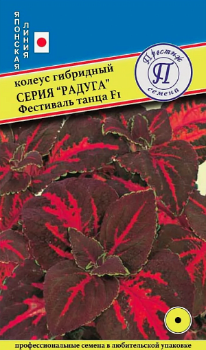 Однолетник. Высокорослый (40-45 см) гибрид колеуса с большими, декоративными цветными листьями. Рекомендуется для групповых посадок или как фон для более низких цветов.