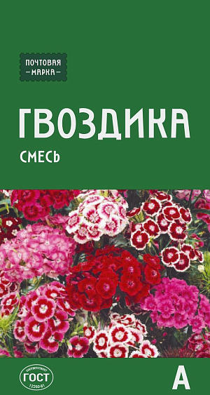 Гвоздика бородатая (смесь) 

Традиционное садовое растение, любимое еще нашими бабушками, и сегодня придает уголкам сада особое очарование. Растение с прямыми прочными стеблями и ланцетовидными листьями. Пышные, ароматные соцветия - щитки, размером 8–12 см, удивляют самыми разнообразными окрасками. Неприхотлива, с обильным самосевом. Используется в цветниках и на срезку. Зацветает на второй год.