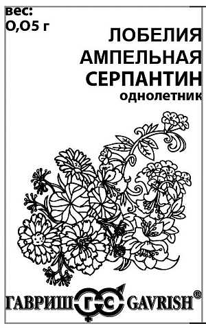 Травянистое растение, с ниспадающими побегами до 30-35 см длиной. Цветки двугубые, на коротких цветоножках, до 2 см в диаметре, по одному в пазухах листьев. Цветет с июня по сентябрь. Для обильного цветения отцветшие побеги удаляют. Семена у лобелии мелкие, при посеве их смешивают с песком и не заделывают в почву. Выращивают в вазах, горшках, балконных ящиках и висячих корзинах, на подпорных стенках. Ампельная лобелия может использоваться и как почвопокровное растение.